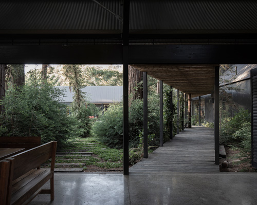 OF architects immerses the several pavilions of the mallarauco house within chilean forest