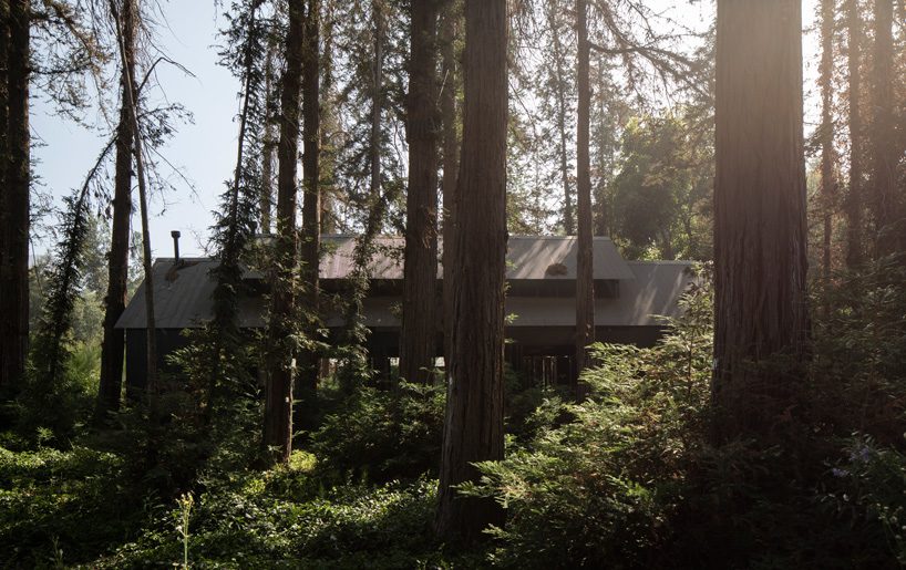 OF architects immerses the several pavilions of the mallarauco house within chilean forest