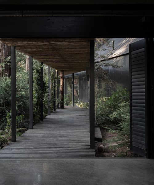 OF architects immerses the several pavilions of the mallarauco house within chilean forest