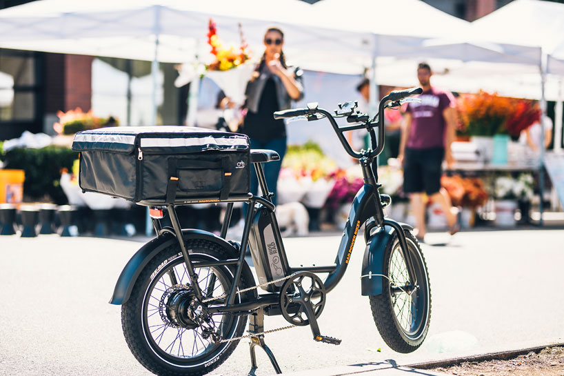 rad bike cargo