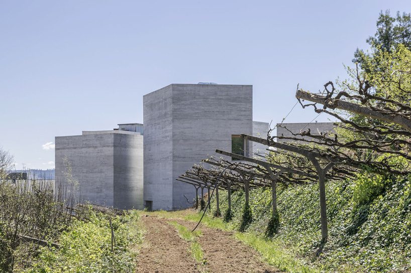spaceworkers joins varying concrete volumes for romanesque exhibition building in portugal