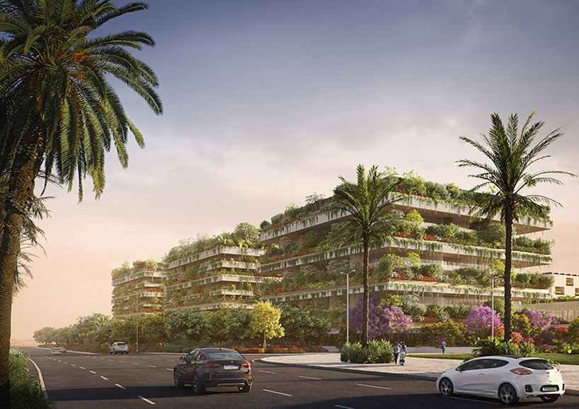 stefano boeri plans three 'green cubes' for egypt that will form africa's first vertical forest