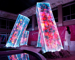teamLab projects digital nature on 'megaliths in the bath house ruins'