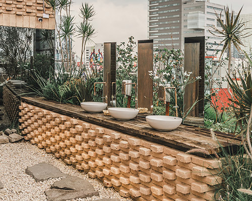 toledo rooftop by vertebral offers a glimpse of nature in the heart of mexico city