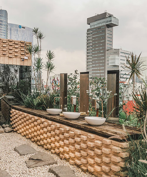 toledo rooftop by vertebral offers a glimpse of nature in the heart of mexico city