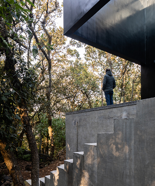 PPAA introduces geometric volume to the forested landscape outside mexico city
