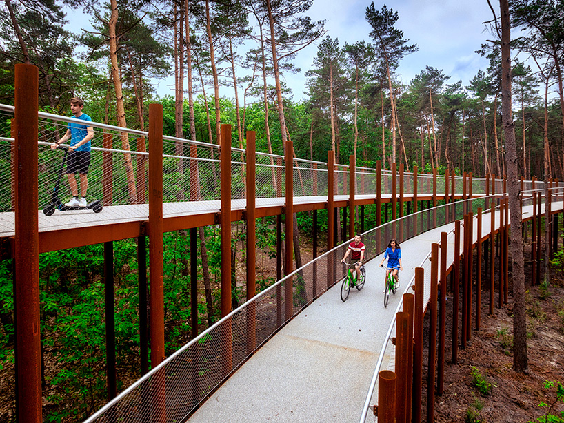 cycling through the trees