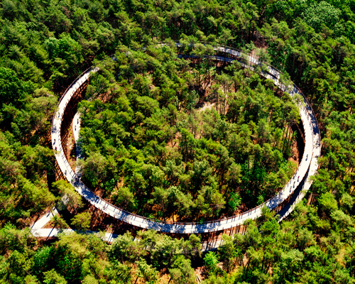 elevated 360° pathway lets you cycle through the trees in belgium