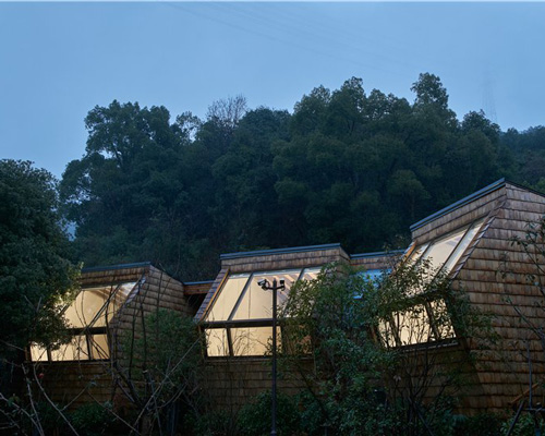 star cubes gaze towards the sky amidst chinese forest in the hangzhou senbo resort