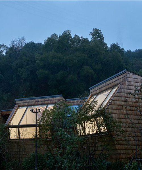 star cubes gaze towards the sky amidst chinese forest in the hangzhou senbo resort