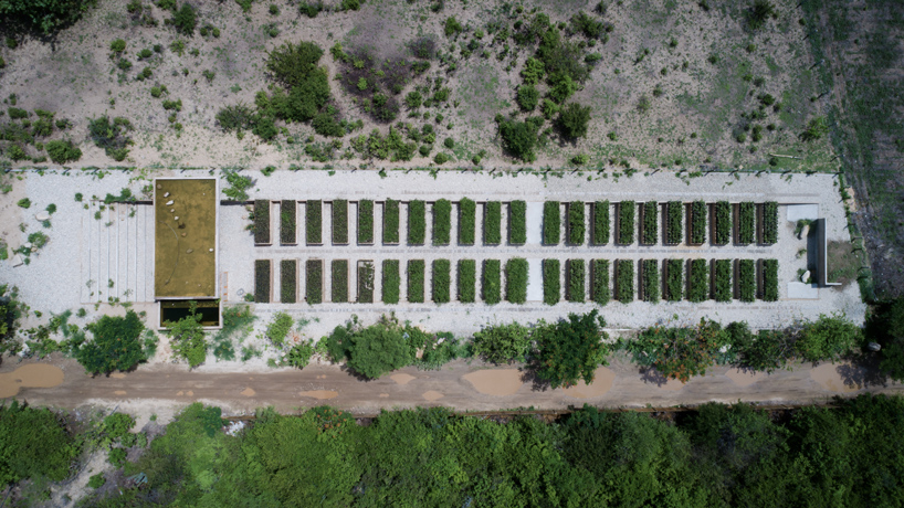 ambrosi etchegaray guayacan