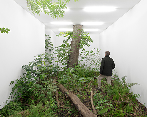 isolation by fabian knecht transforms landscape into a figural 'great indoors'