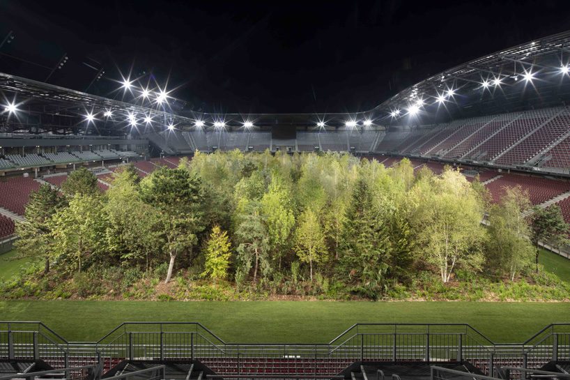 klaus littmann transforms austrian football stadium into native central european forest