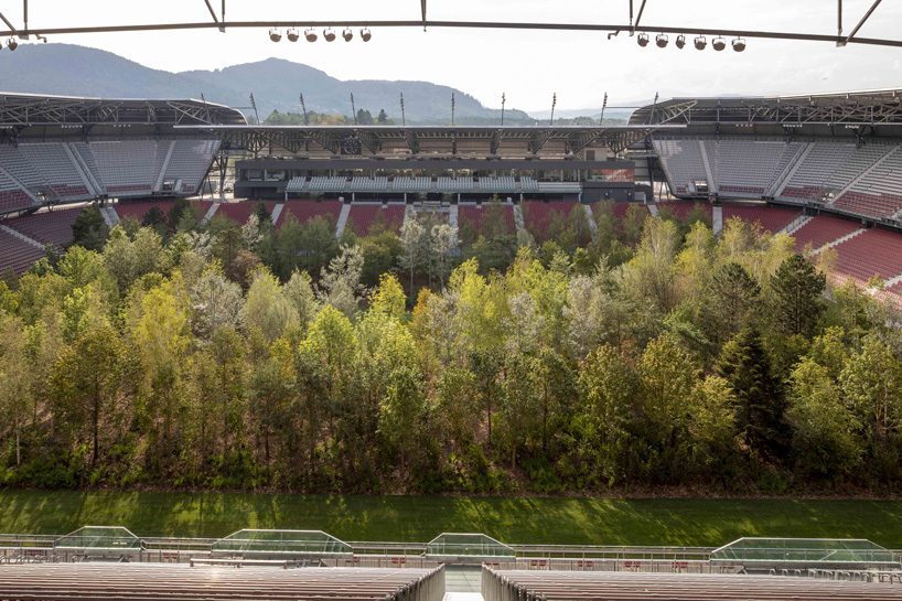 klaus littmann transforms austrian football stadium into native central european forest