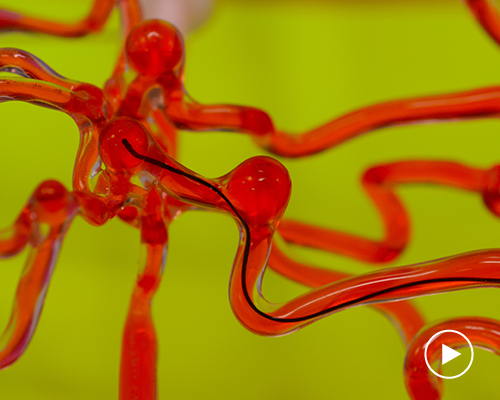 MIT creates robotic thread designed to crawl through the human brain