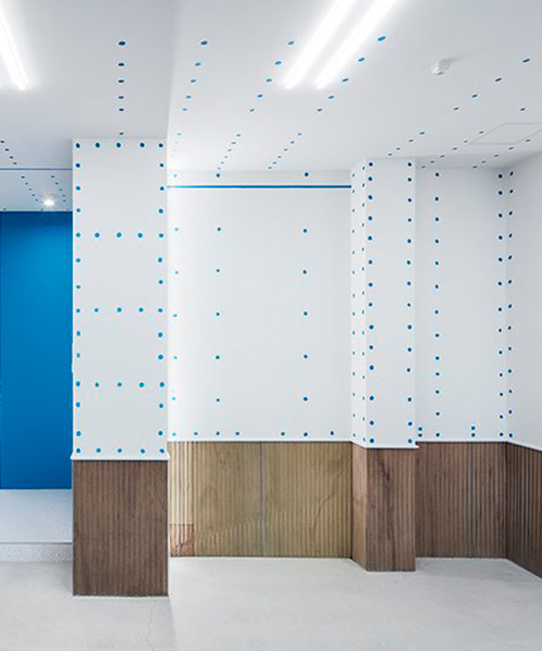 SESN peppers japanese showroom with blue dots and lines to express its construction