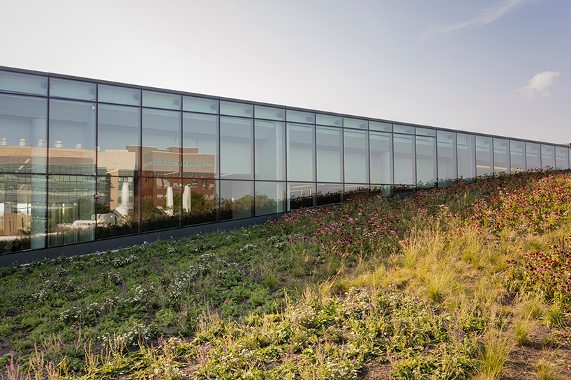 snøhetta completes the charles library at temple university in philadelphia