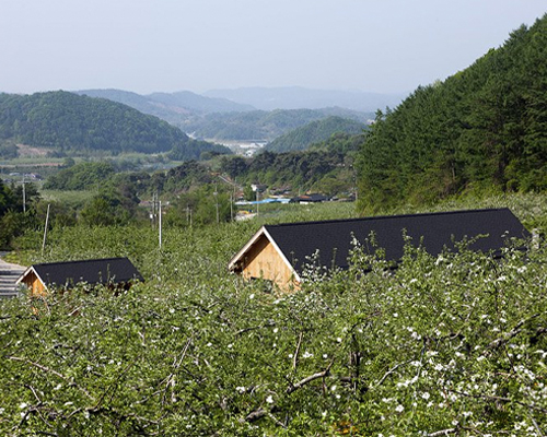 studio_GAON builds a small timber house amid the mountains of south korea