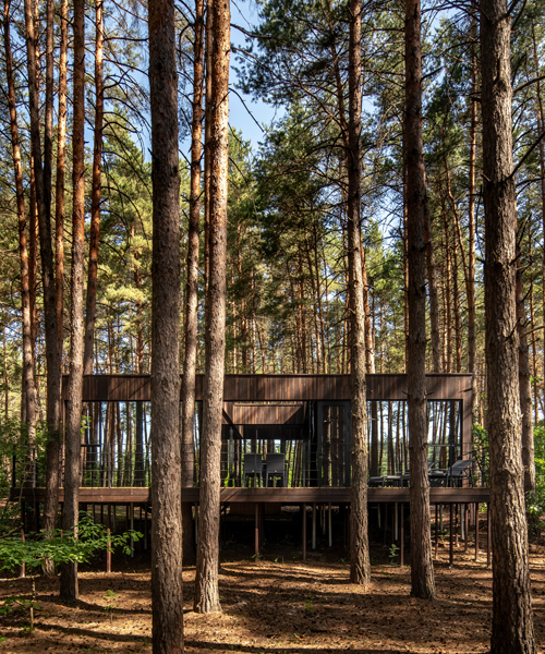 YOD group builds timber cabin with panoramic windows in ukrainian forest