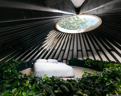 couple builds botanical, light-filled yurt with a circular sleeping loft and skylight