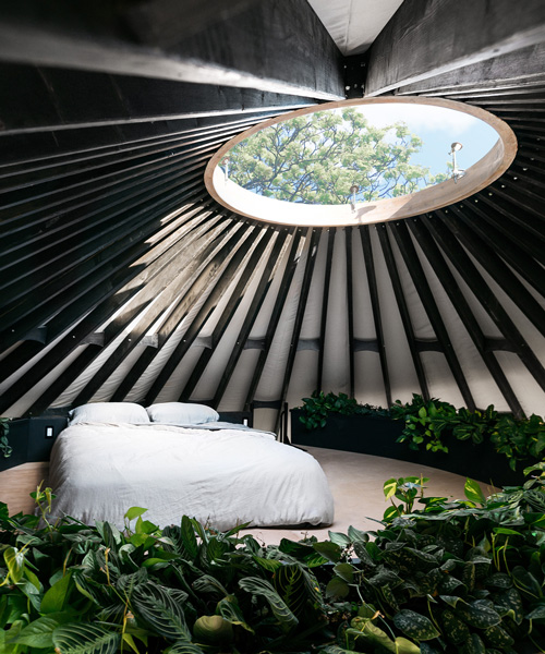 couple builds botanical, light-filled yurt with a circular sleeping loft and skylight