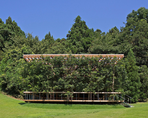 this timber structure in japan disappears against its forested backdrop