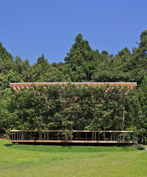 this timber structure in japan disappears against its forested backdrop