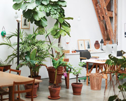 'we cannot be ideological': formafantasma on design's possibilities and limitations