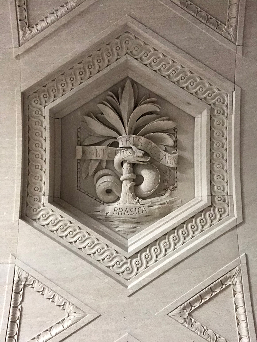 designboom scales the morgan library's scaffolded façade during monumental restoration