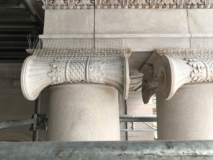 designboom scales the morgan library's scaffolded façade during monumental restoration