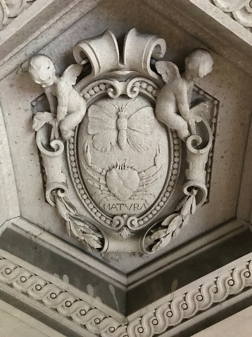 designboom scales the morgan library's scaffolded façade during monumental restoration