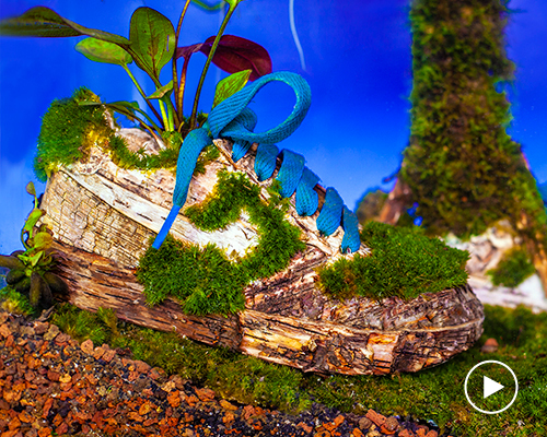 'sneakerium' offers an afterlife for worn out NIKE sneakers