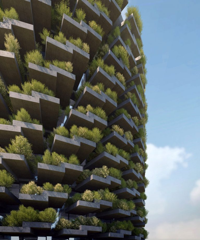 NUDES designs the forest school in india with a rooftop cycle track