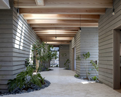 SN design architects combines individual cubes into the enoki nursery school in japan
