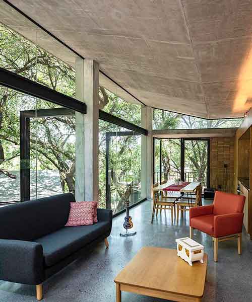 WEYES estudio builds a family home into the treetops of a mexican forest