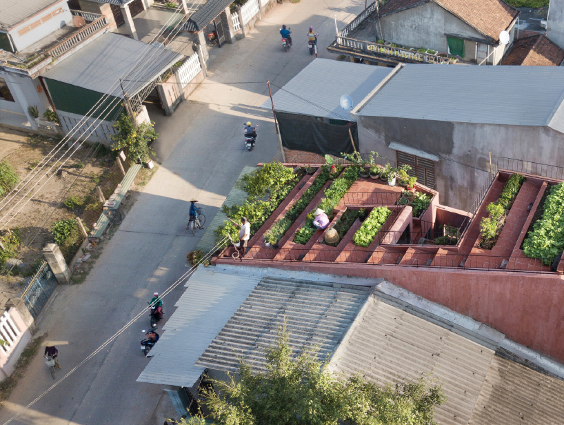 TAA design’s red roof house in vietnam includes vegetable garden
