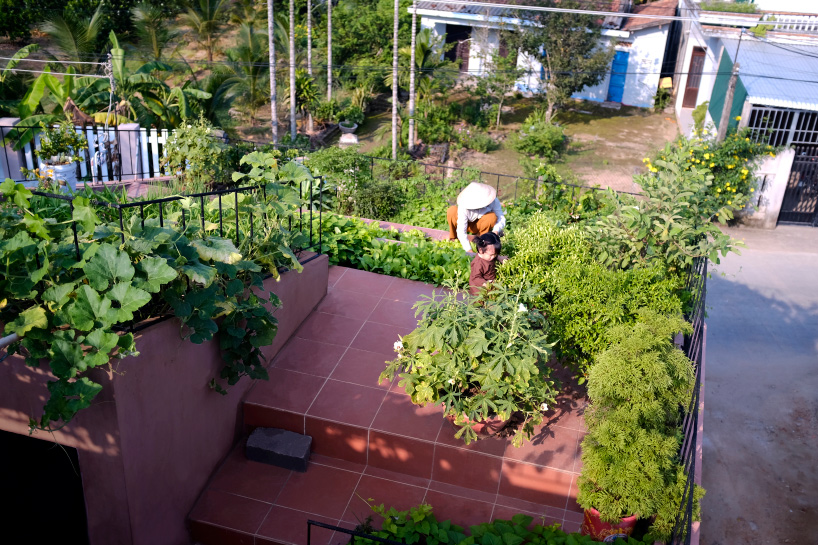 House In Vietnam Has Perfect Rooftop Garden – For Five Coffee Roasters