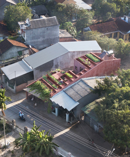 a stepped garden provides produce for the residents of the red roof house in vietnam