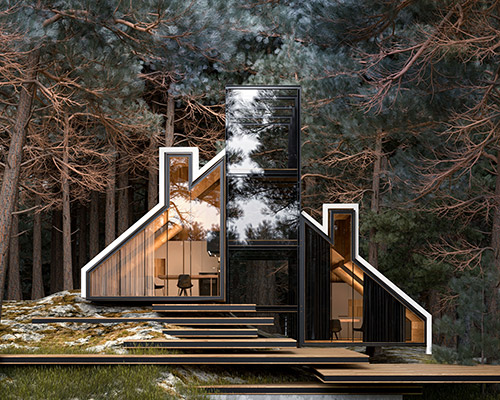 alex nerovnya's YORK house provides a sense of connection with the wild environment