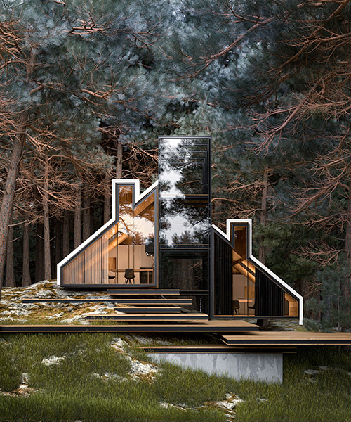 alex nerovnya's YORK house provides a sense of connection with the wild environment
