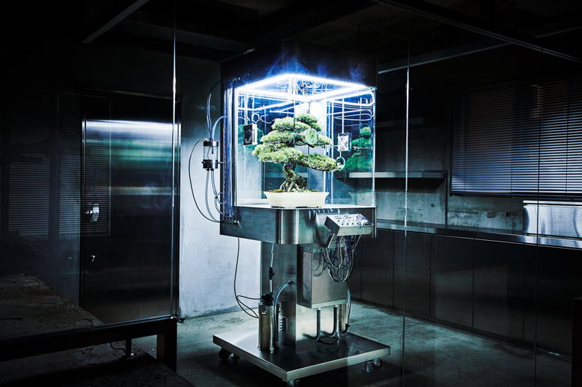azuma makoto preserves bonsai tree inside futuristic ecosphere 