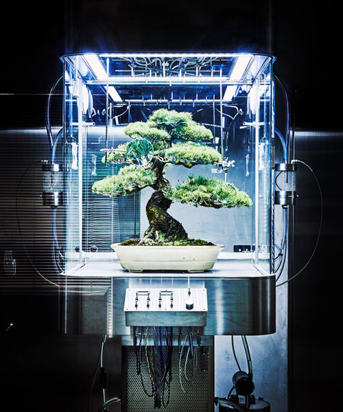 azuma makoto preserves bonsai tree inside futuristic ecosphere 
