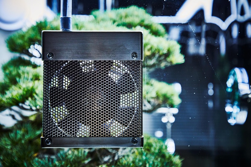 azuma makoto preserves bonsai tree inside futuristic ecosphere 