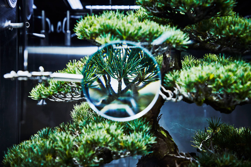 azuma makoto preserves bonsai tree inside futuristic ecosphere 