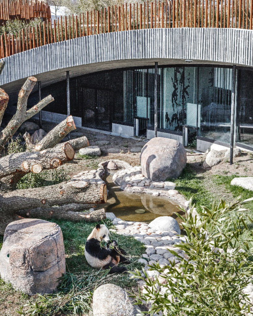 Panda Haus Panda Haus