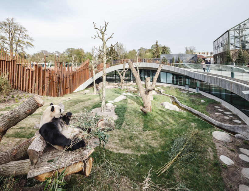 bjarke ingels group's yin and yang-shaped panda house welcomes its first residents