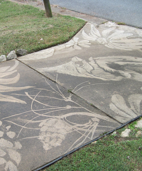 dianna wood uses power washer to create art on her dirty driveway