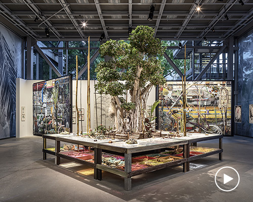 fondation cartier exhibition news projects and interviews