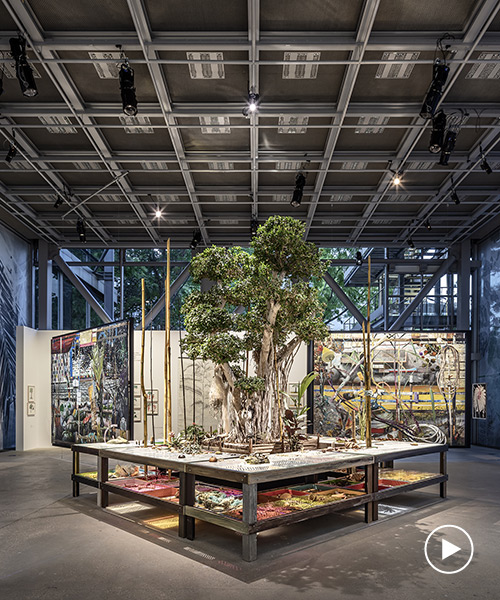 nous les arbres at fondation cartier pour l’art contemporain sheds new light on trees