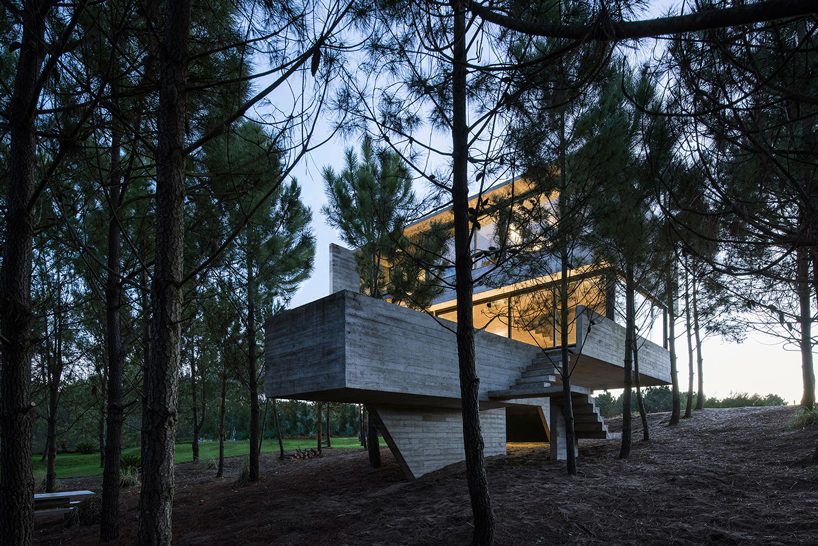 luciano kruk stacks concrete volumes to build a 'house in the trees' in buenos aires designboom